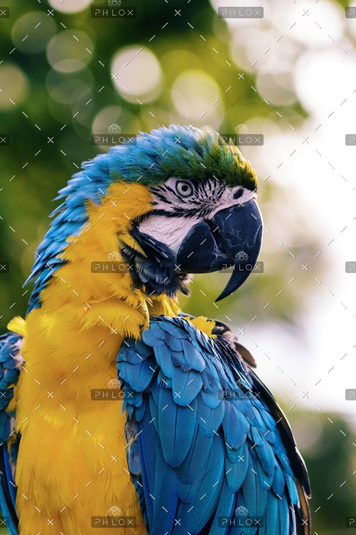 demo attachment 531 andrew pons 57133 unsplash 1