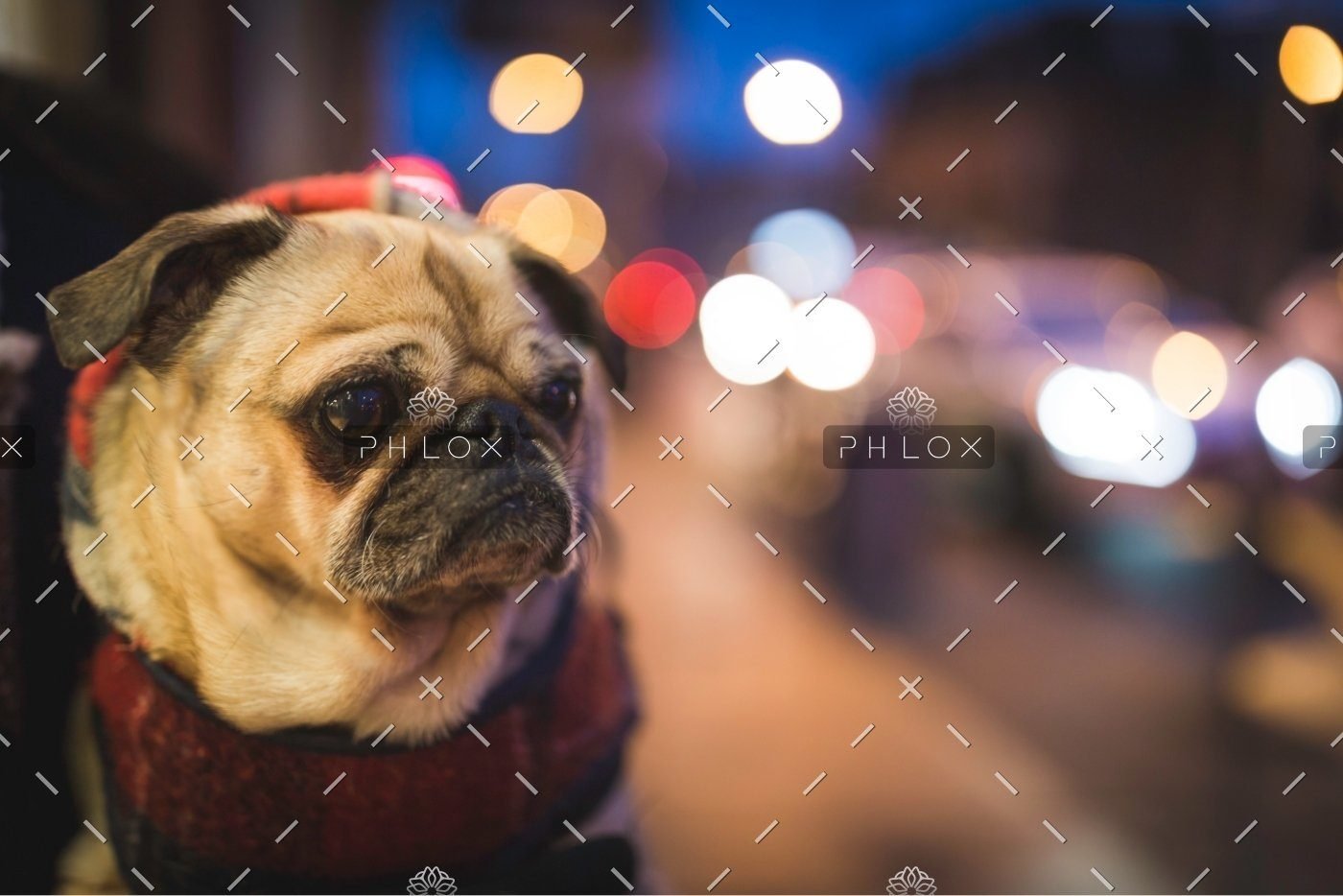 demo attachment 524 matthew henry 196653 unsplash 1
