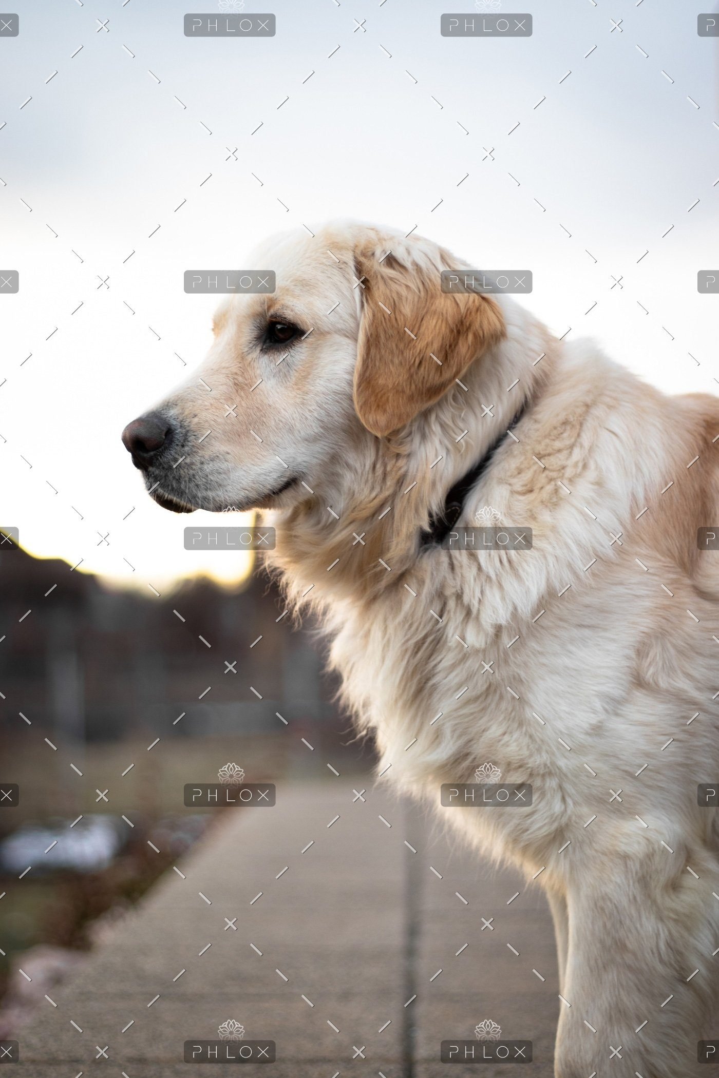 demo attachment 530 thomas tokos 1275116 unsplash 1